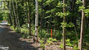 LOT 2 TALLY HO WINTER PARK Road Lake of Bays