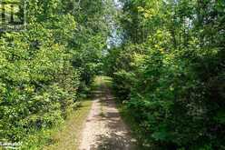 PART LOT 11-12 SIDEROAD 10 Chatsworth