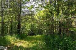 PART LOT 11-12 SIDEROAD 10 Chatsworth