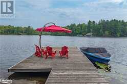 1045 SILVER BIRCH Lane Lake of Bays