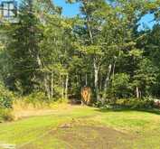 32 A11 Island Pointe au Baril