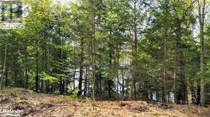 LOT2 SEGUIN RIVER ESTATES LOUISA Street Parry Sound