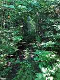 LOT 6-10 MOON Road Haliburton