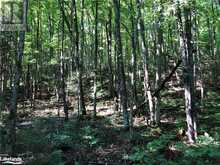 LOT 6-10 MOON Road Haliburton