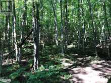 LOT 6-10 MOON Road Haliburton