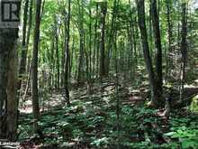 LOT 6-10 MOON Road Haliburton