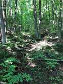 LOT 6-10 MOON Road Haliburton