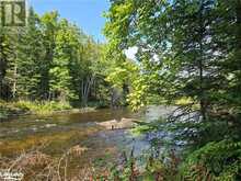 0 BURNT RIVER Access Minden Hills