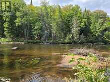 0 BURNT RIVER Access Minden Hills