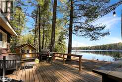 4647 ELEPHANT LAKE Road Harcourt