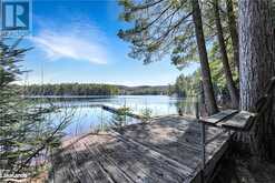 4647 ELEPHANT LAKE Road Harcourt