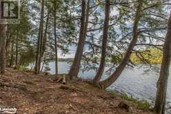 364 STANLEY HOUSE Road Unit# LOT C Seguin