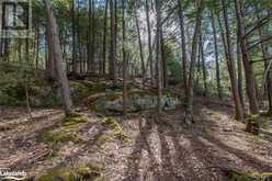 364 STANLEY HOUSE Road Unit# LOT C Seguin