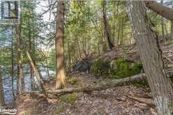 364 STANLEY HOUSE Road Unit# LOT C Seguin