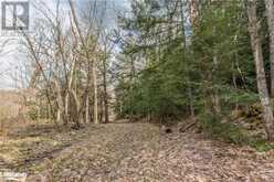 364 STANLEY HOUSE Road Unit# LOT C Seguin