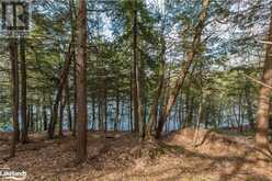 364 STANLEY HOUSE Road Unit# LOT C Seguin