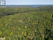 0 BUSHWOLF LAKE Road Haliburton