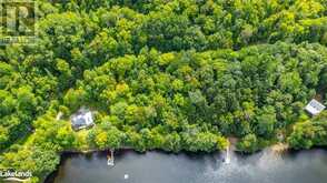 1024 TARPAPER Trail Haliburton