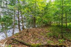 1024 TARPAPER Trail Haliburton