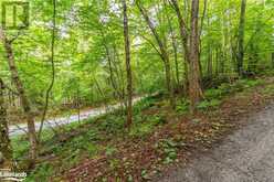 1024 TARPAPER Trail Haliburton