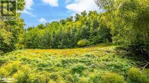 18.4 ACRES ADELINE Trail Haliburton