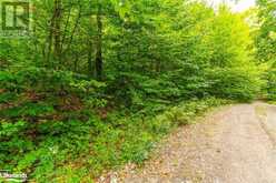 18.4 ACRES ADELINE Trail Haliburton