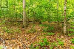 18.4 ACRES ADELINE Trail Haliburton