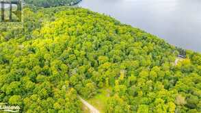 18.4 ACRES ADELINE Trail Haliburton