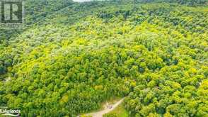 18.4 ACRES ADELINE Trail Haliburton