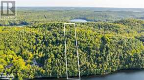 18.4 ACRES ADELINE Trail Haliburton