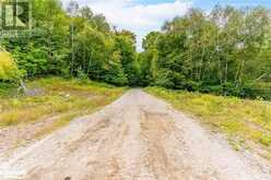 18.4 ACRES ADELINE Trail Haliburton