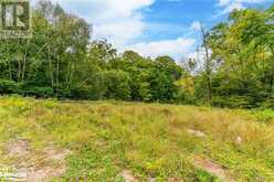 18.4 ACRES ADELINE Trail Haliburton