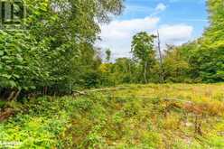 18.4 ACRES ADELINE Trail Haliburton