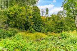 18.4 ACRES ADELINE Trail Haliburton