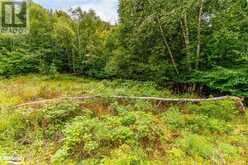 18.4 ACRES ADELINE Trail Haliburton