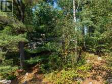 53B FOREST ACCESS Road Port Loring