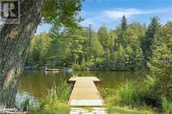 1192 CHARLIE GEORGE LAKE Drive Haliburton