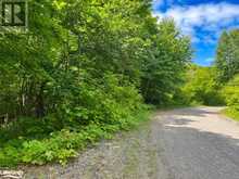 LOT 7 KRIBS Road Magnetawan