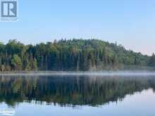 0 HENRY Lake Unit# North Shore Magnetawan