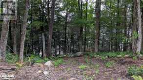 LOT 2 ESIG Lane Lake of Bays