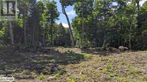 LOT 2 ESIG Lane Lake of Bays