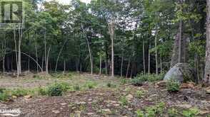 LOT 2 ESIG Lane Lake of Bays