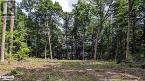 LOT 1 ESIG Lane Lake of Bays