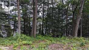 LOT 1 ESIG Lane Lake of Bays