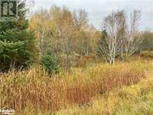 LOT 1 HIGHWAY 124 Whitestone