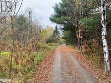 LOT 1 HIGHWAY 124 Whitestone