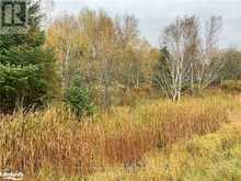 LOT 1 HIGHWAY 124 Whitestone