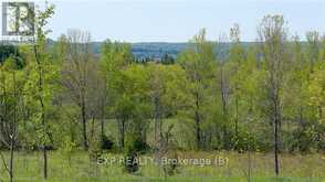 557329 4TH CONCESSION S Meaford