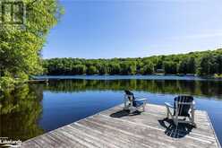 1305 BELLWOOD ACRES Road Lake of Bays