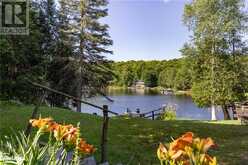 1305 BELLWOOD ACRES Road Lake of Bays